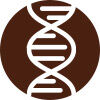 icona del DNA